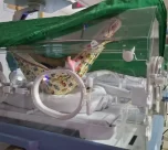 Redeterapia transforma cuidado