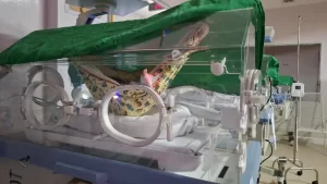 Redeterapia transforma cuidado