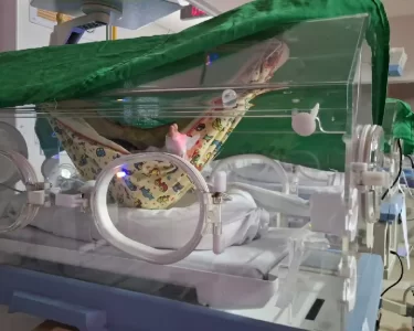 Redeterapia transforma cuidado