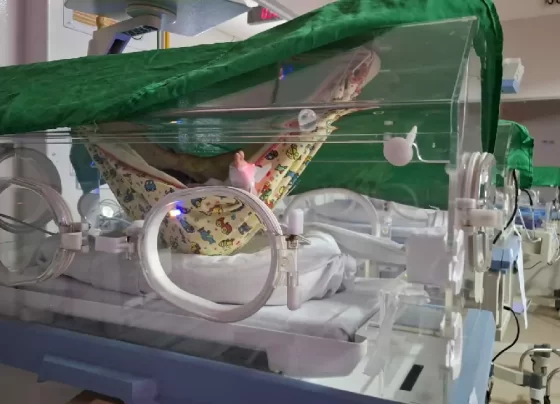 Redeterapia transforma cuidado