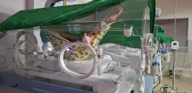 Redeterapia transforma cuidado