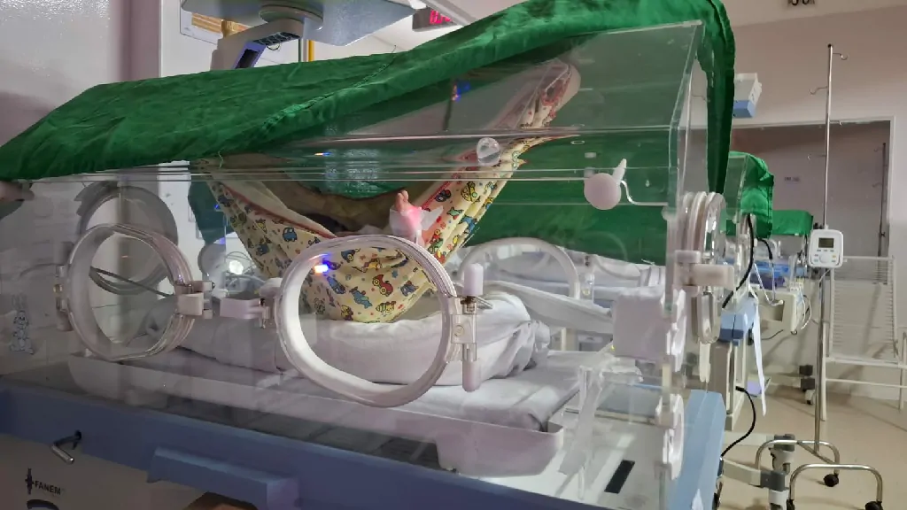 Redeterapia transforma cuidado