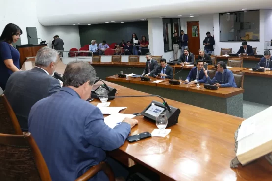 Aleto aprova projetos de proteção e valorização das mulheres no Tocantins