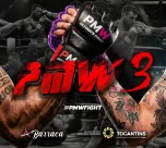 PMW Ultimate Fight 3