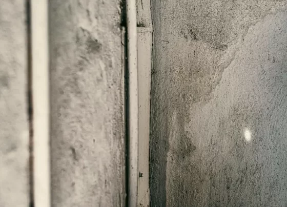 Chuvas acendem alerta para rachaduras e infiltrações em imóveis