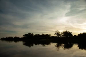 sustentabilidade Tocantins projeto de bioeconomia e geração de renda
