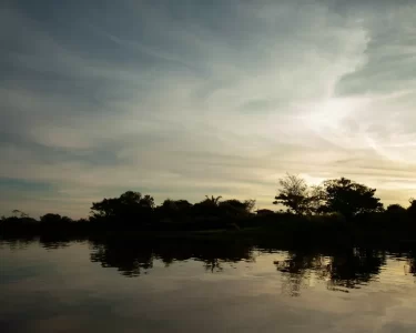 sustentabilidade Tocantins projeto de bioeconomia e geração de renda