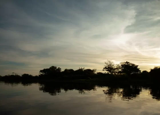 sustentabilidade Tocantins projeto de bioeconomia e geração de renda