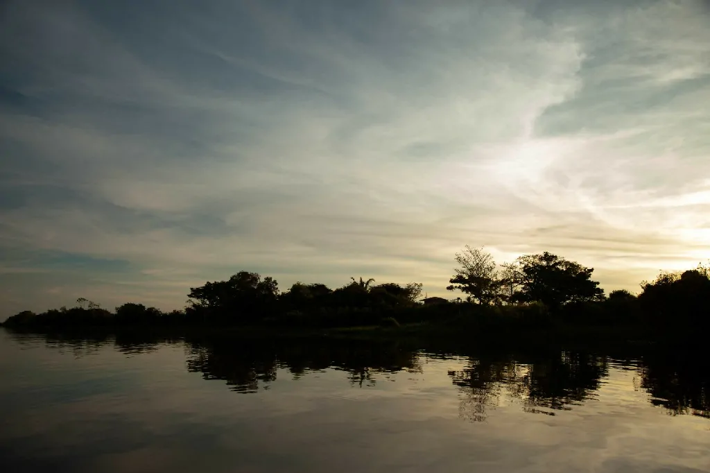 sustentabilidade Tocantins projeto de bioeconomia e geração de renda
