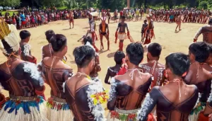 povos indigenas