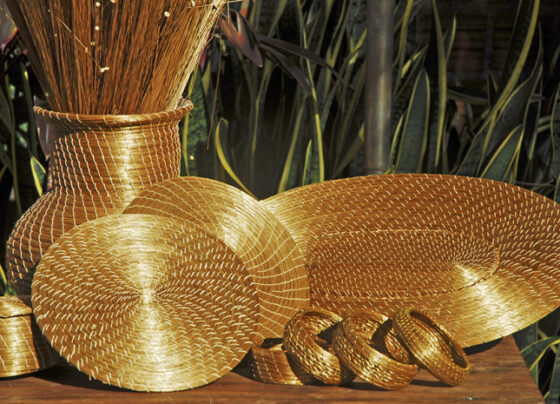 Oficina fortalece renda com capim dourado no Tocantins