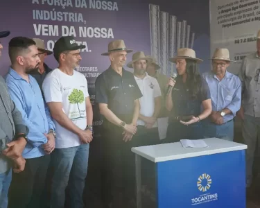 silvicultura no Tocantins