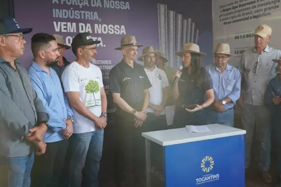 silvicultura no Tocantins