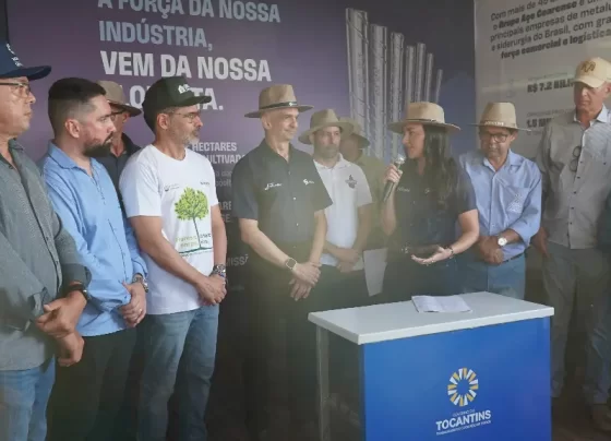 silvicultura no Tocantins