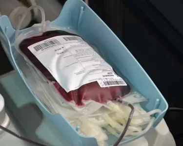 doar sangue