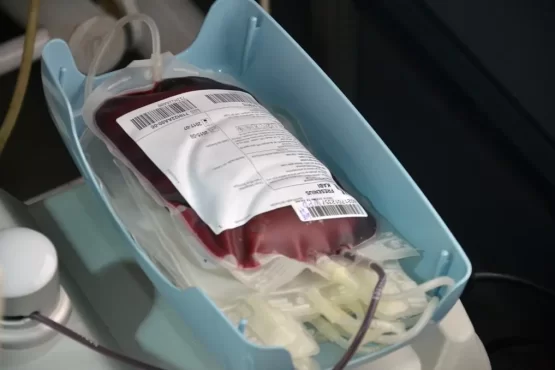 doar sangue