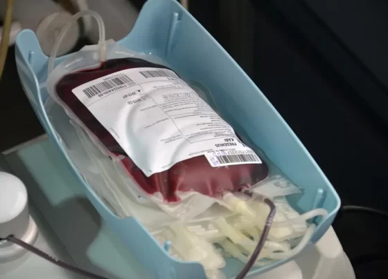 doar sangue