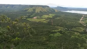Conselho Gestor da APA Serra do Lajeado no Tocantins
