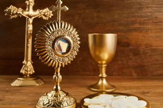Arquidiocese de Palmas celebra 30 anos com programação especial – Portal Jaciara Barros Arquidiocese de Palmas 30 anos