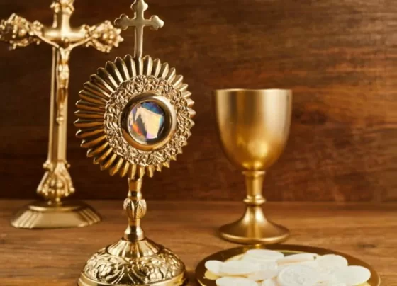 Arquidiocese de Palmas 30 anos