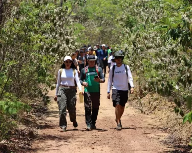 empregos no turismo Tocantins