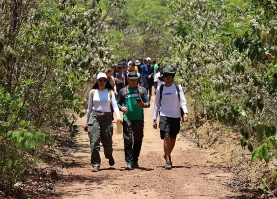 empregos no turismo Tocantins