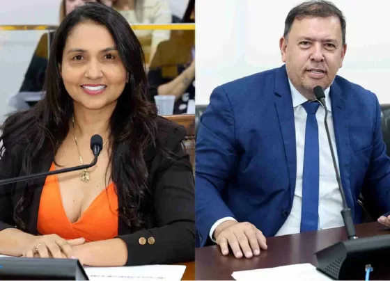 proteção da mulher no Tocantins