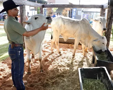 Mais de 600 animais movimentam a Agrotins 2026
