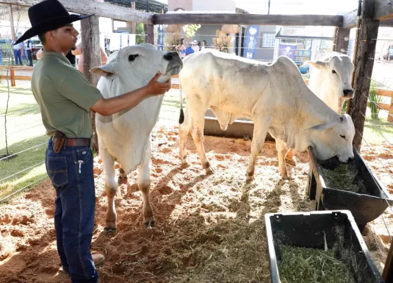 Mais de 600 animais movimentam a Agrotins 2026