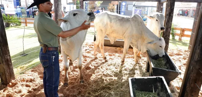 Mais de 600 animais movimentam a Agrotins 2026
