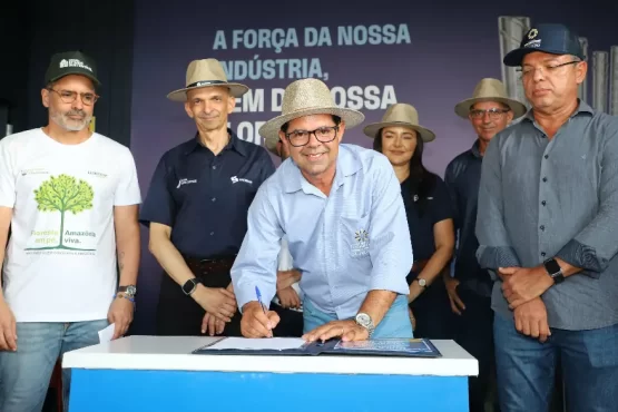 Tocantins cria Câmara de Florestas Plantadas na Agrotins 2026