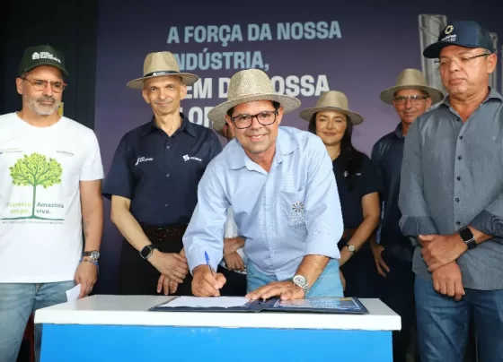 Tocantins cria Câmara de Florestas Plantadas na Agrotins 2026