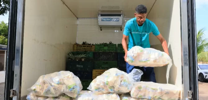 PAA Palmas