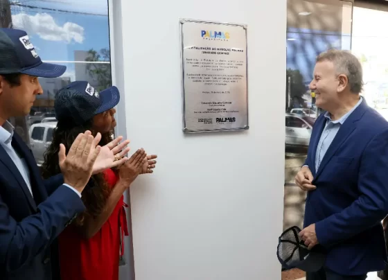 Resolve Palmas revitalização