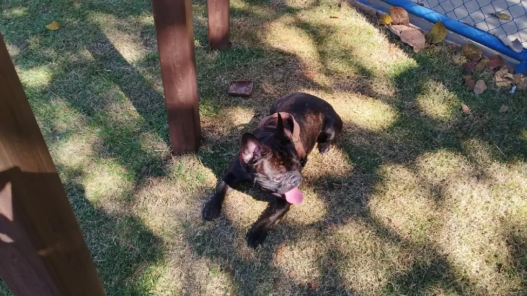 Nova Praça da Arne 53 reúne esporte, lazer, playground, espaço pet e convivência para moradores da região norte de Palmas.