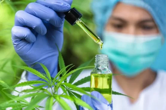 cannabis medicinal