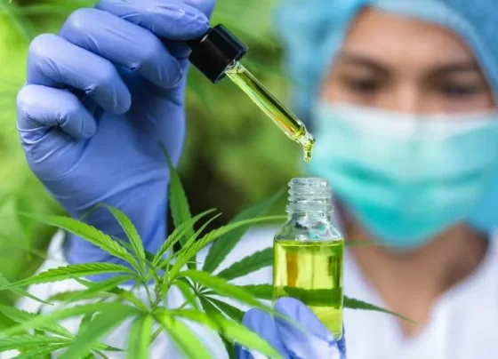 cannabis medicinal