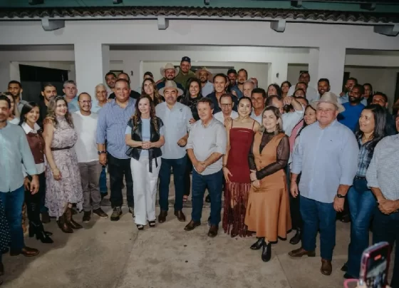 46 anos de Colmeia