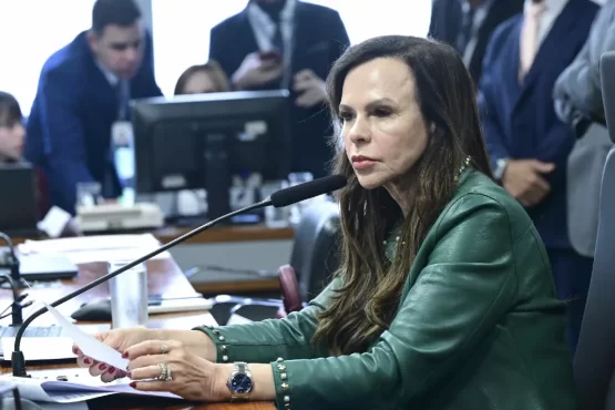 educação empreendedora no Brasil