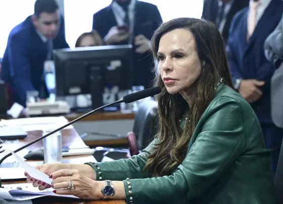educação empreendedora no Brasil