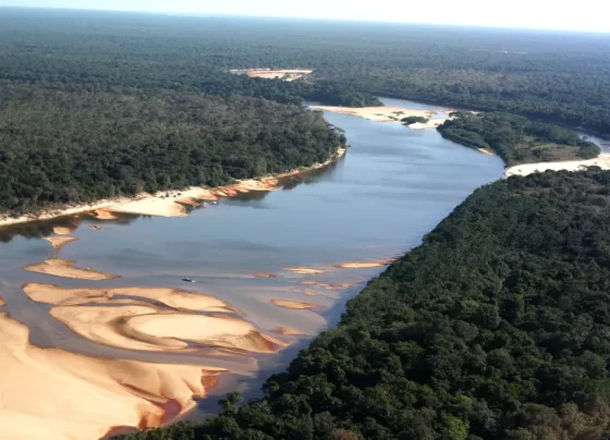 evolução ambiental