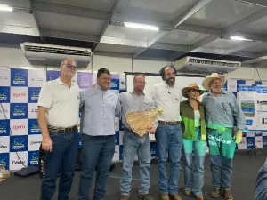 Novilho Precoce Tocantins Agrotins 2026