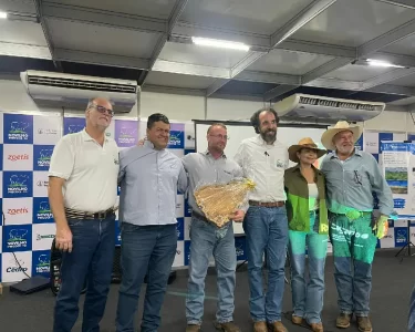 Novilho Precoce Tocantins Agrotins 2026