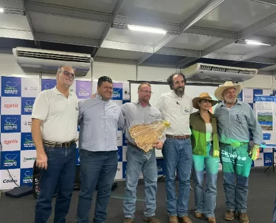Novilho Precoce Tocantins Agrotins 2026