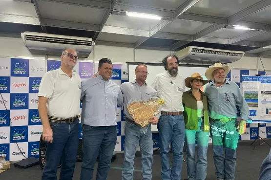 Novilho Precoce Tocantins Agrotins 2026