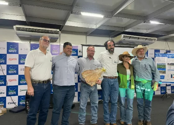 Novilho Precoce Tocantins Agrotins 2026