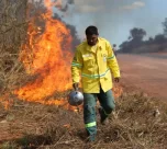 incêndios florestais