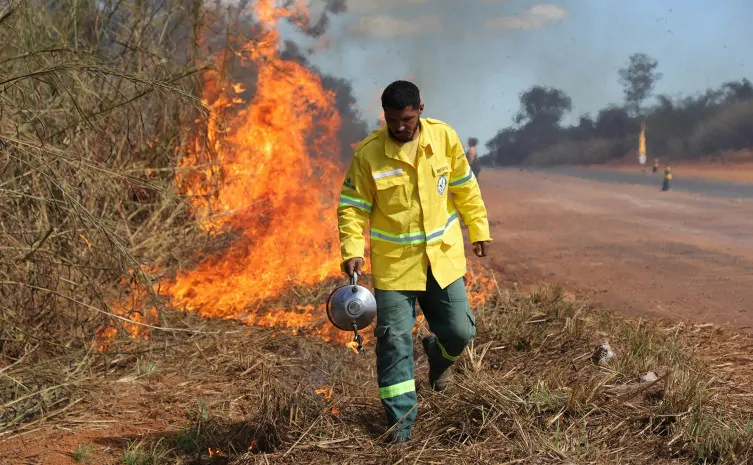 incêndios florestais