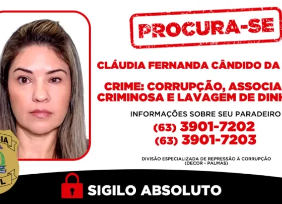 Operação Falsa