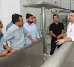 Frigorífico Ananás